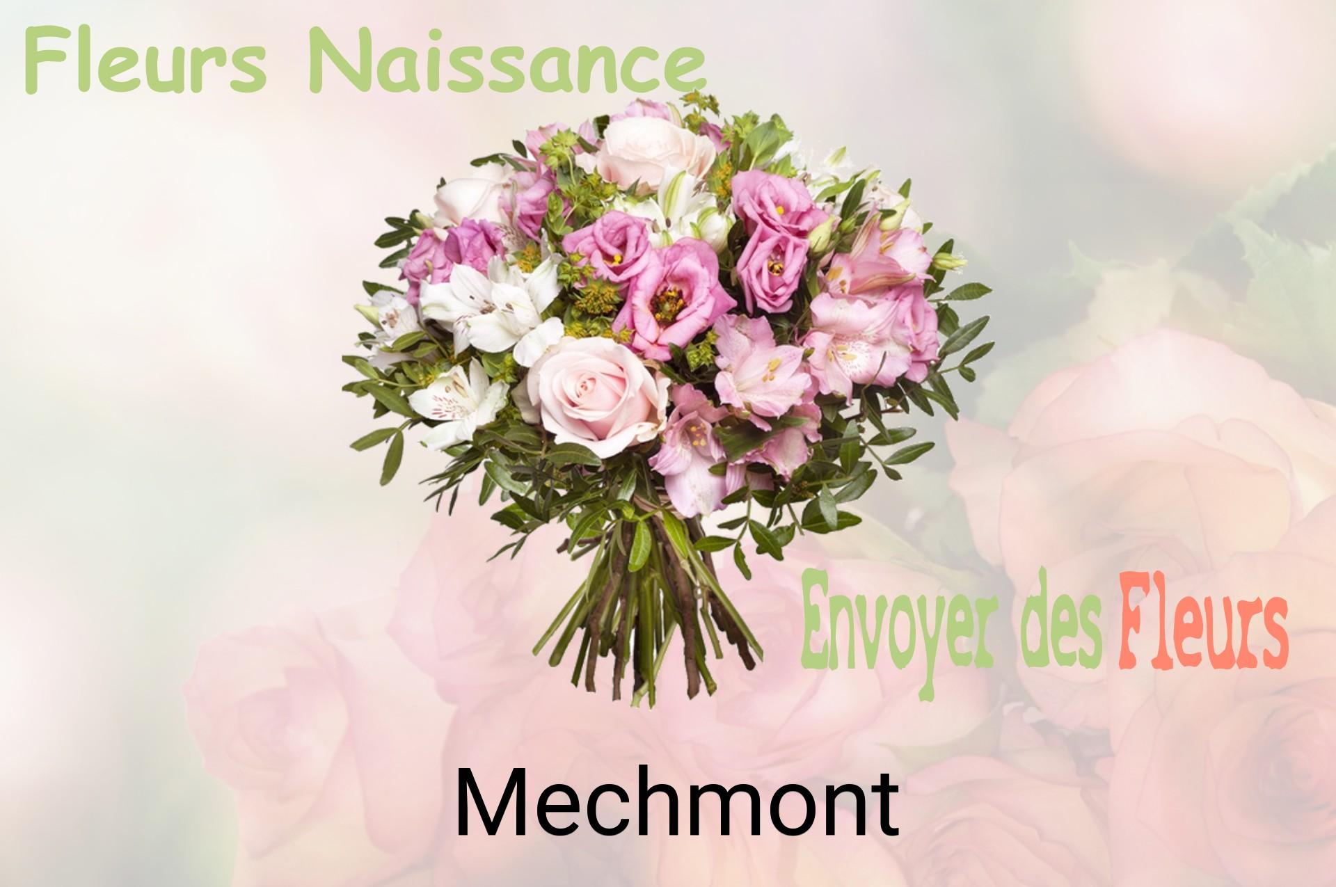 Bouquet de fleurs de naissance livré à Mechmont